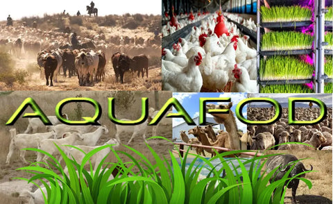 AQUAFOD’S Future Drought Fund Assistance