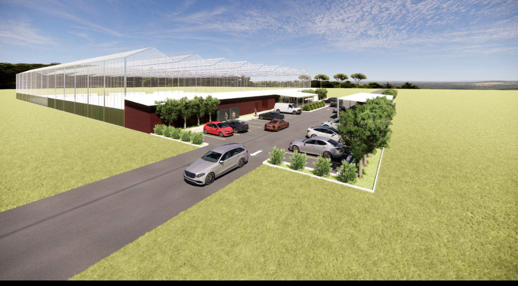 Aquaponics Commercial Farm