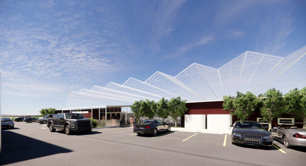 Aquaponics Commercial Farm