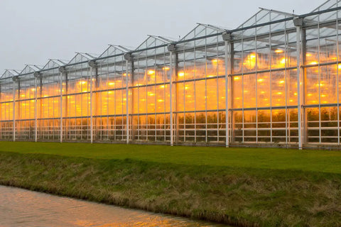 JAWAN ORGANIC FARMS - Branded Farm - Get Started ~ Register Now for 2025-2026