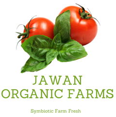 The Great Awakening for Aboriginal Communities