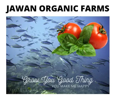 The Great Awakening for Aboriginal Communities