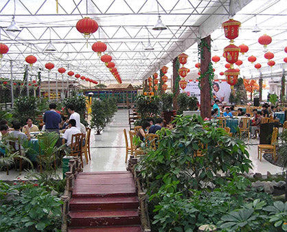 Aquaponics Commercial Farm